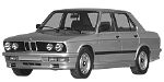 BMW E28 P367C Fault Code